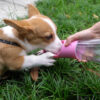 1619595288026-1.jpg Dog Water Bottle Portable Pet Water Bottle Leak Proof Dog Water Dispenser And Food, Lightweight Dog Travel Water Bottle Bowl For Walking And Travel