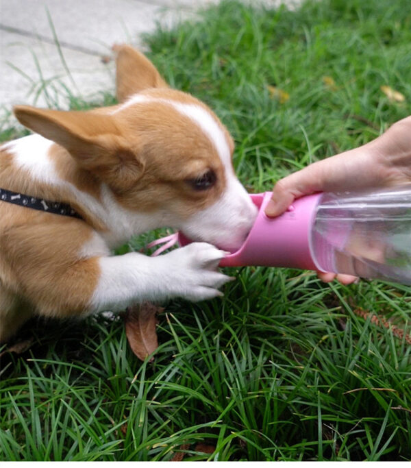 1619595288026-1.jpg Dog Water Bottle Portable Pet Water Bottle Leak Proof Dog Water Dispenser And Food, Lightweight Dog Travel Water Bottle Bowl For Walking And Travel