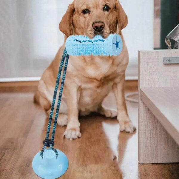 dae751d5-cd51-4e24-9e5f-64ef7fd90743-1.jpeg Dog Chew Ball Toys For Aggressive Chewers Interactive Dog Puzzle Toy Food Dispenser Suction Cup Dog Tug Toy For Dogs Teeth Clean