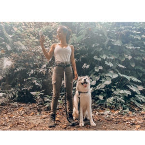 fbbef774-fbfa-4e5e-8050-f9ccdc1d433c-1.png Tuff Pupper Hands Free Bungee Dog Leash, Waist Belt For Running & Walking